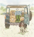 (image for) Paws For A Picnic